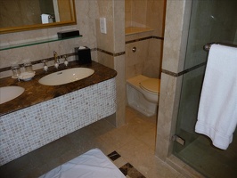 singapore 2009 001